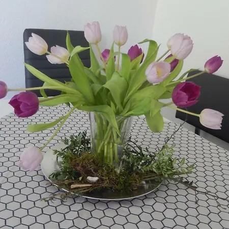 Apartment Lehmann *
